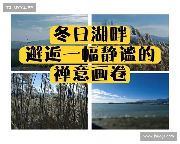 冬日湖畔的静谧与温情如何唤醒心灵深处的诗意与沉思 冬日湖畔的静谧与温情如何唤醒心灵深处的诗意与沉思